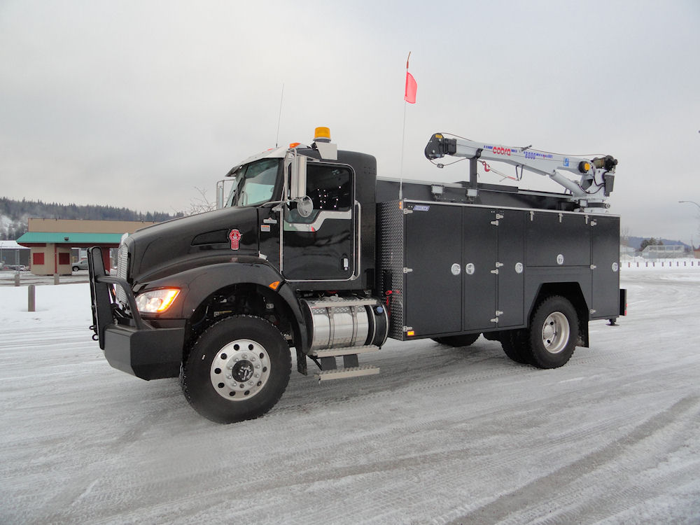 Custom Truck Body