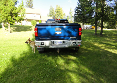 Chev 2016 bumpers 04
